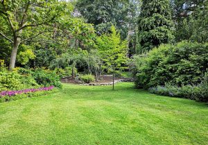 Optimiser l'expérience du jardin à Villeneuve-sur-Cher
